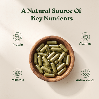 Organic India Moringa Capsules as a Natural Source of Key Nutrients