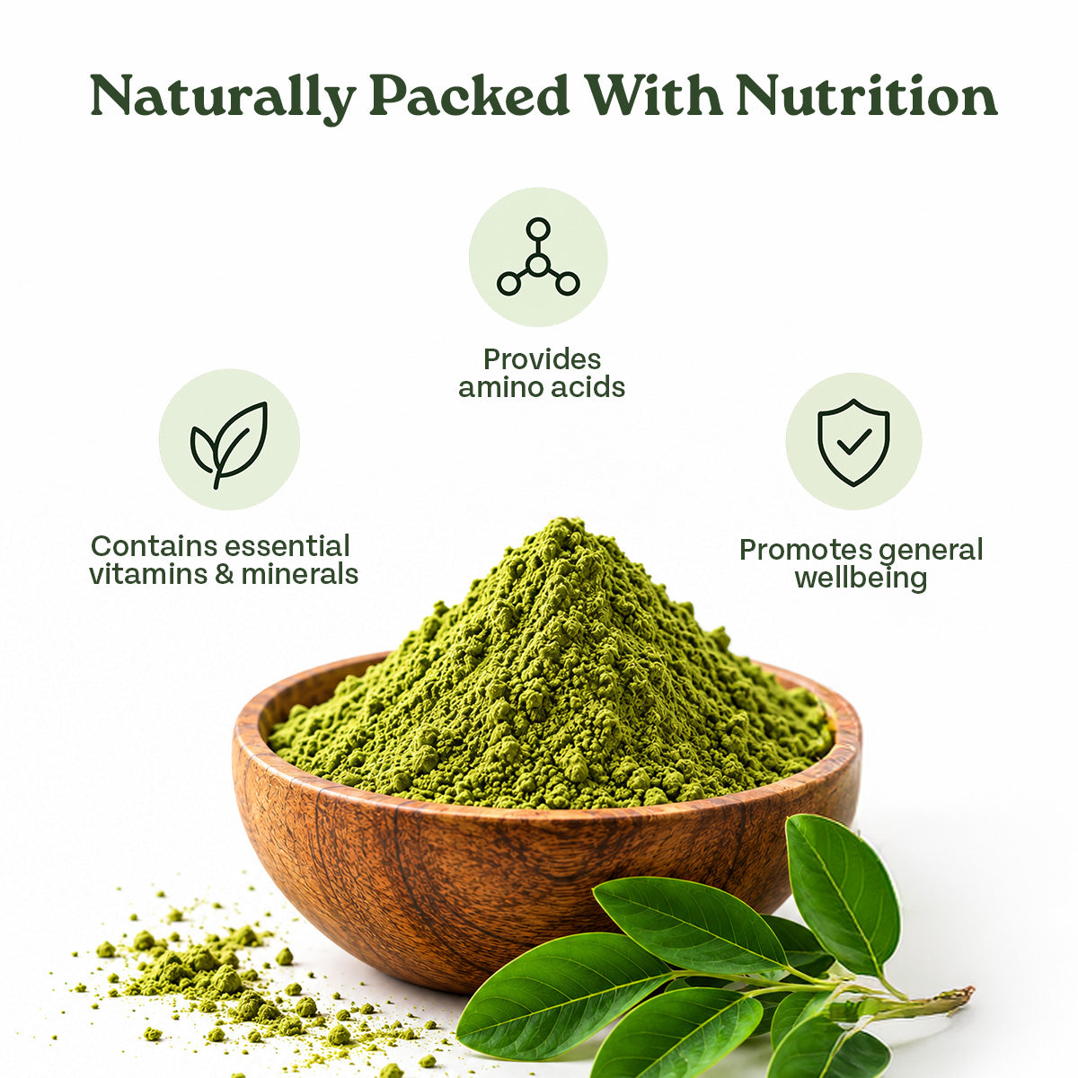 Organic Moringa Powder - A TATA Product