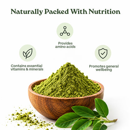 Organic Moringa Powder - A TATA Product