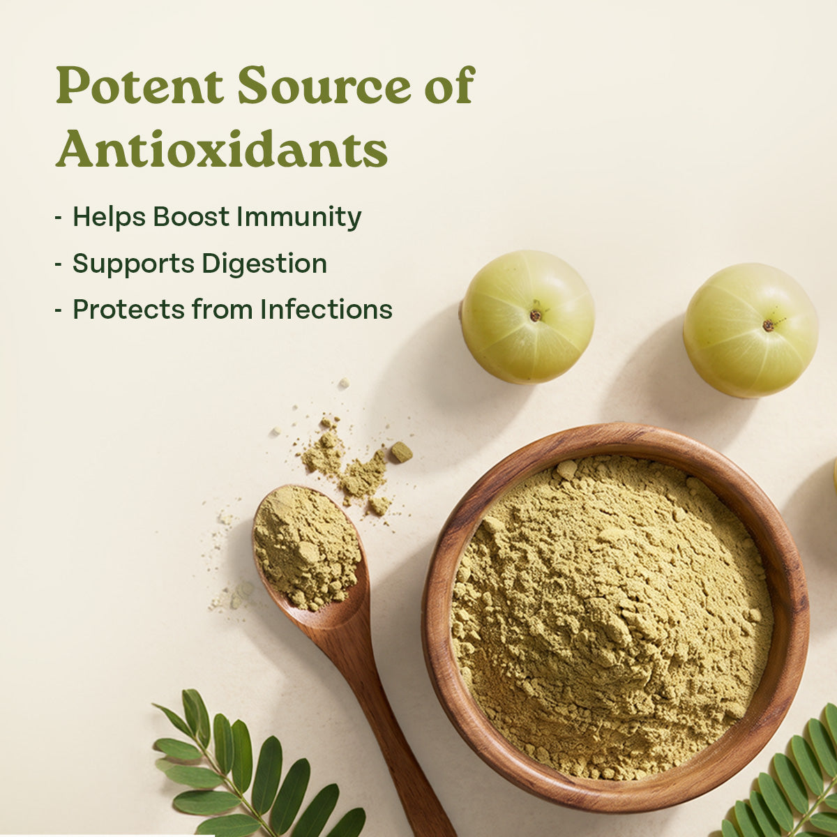Organic Amla Powder