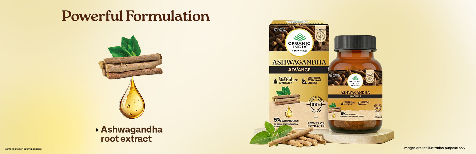 Ingredients Banner