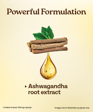 Ingredients Banner Mobile