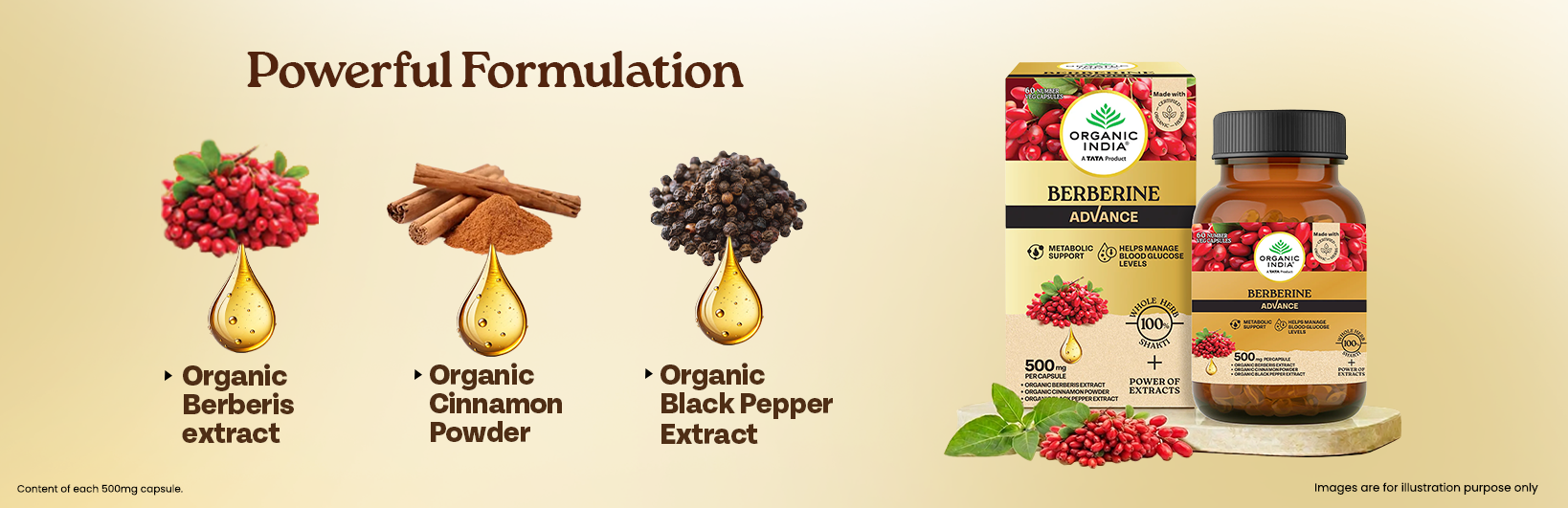 Ingredients Banner