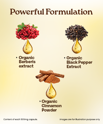 Ingredients Banner Mobile