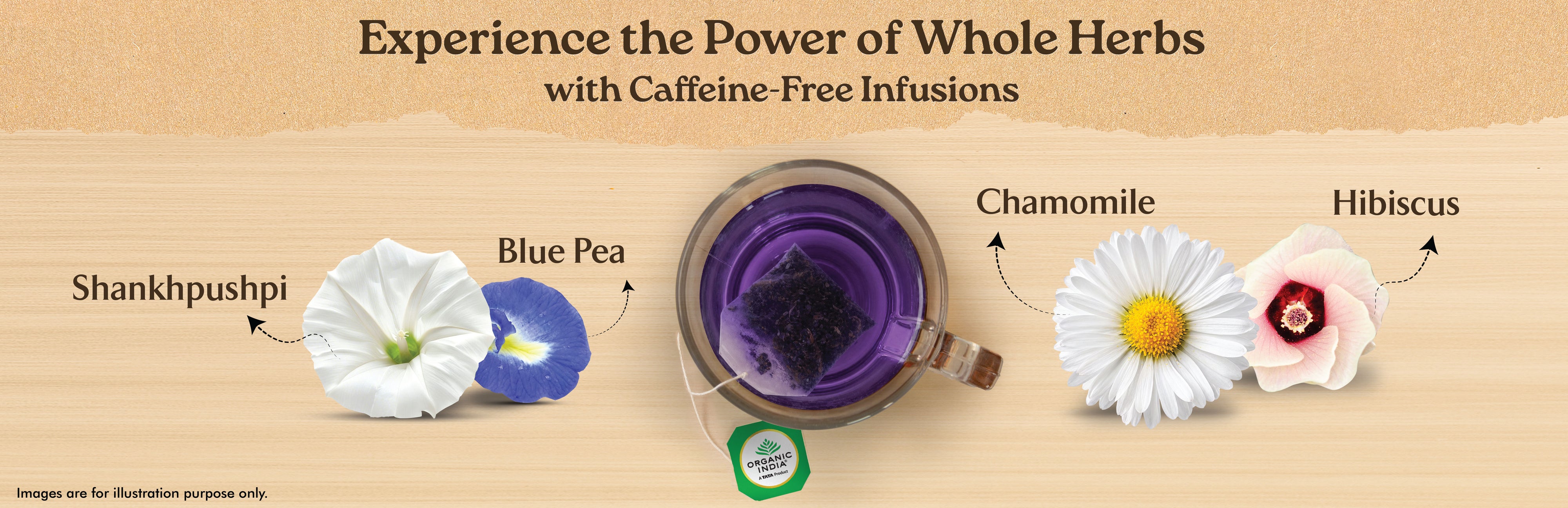 Ingredients Banner