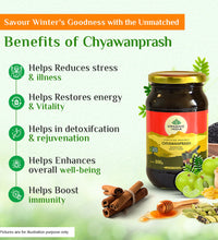 Organic India Chyawanprash Benefits