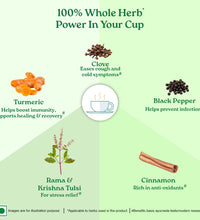 Tulsi Ginger Turmeric