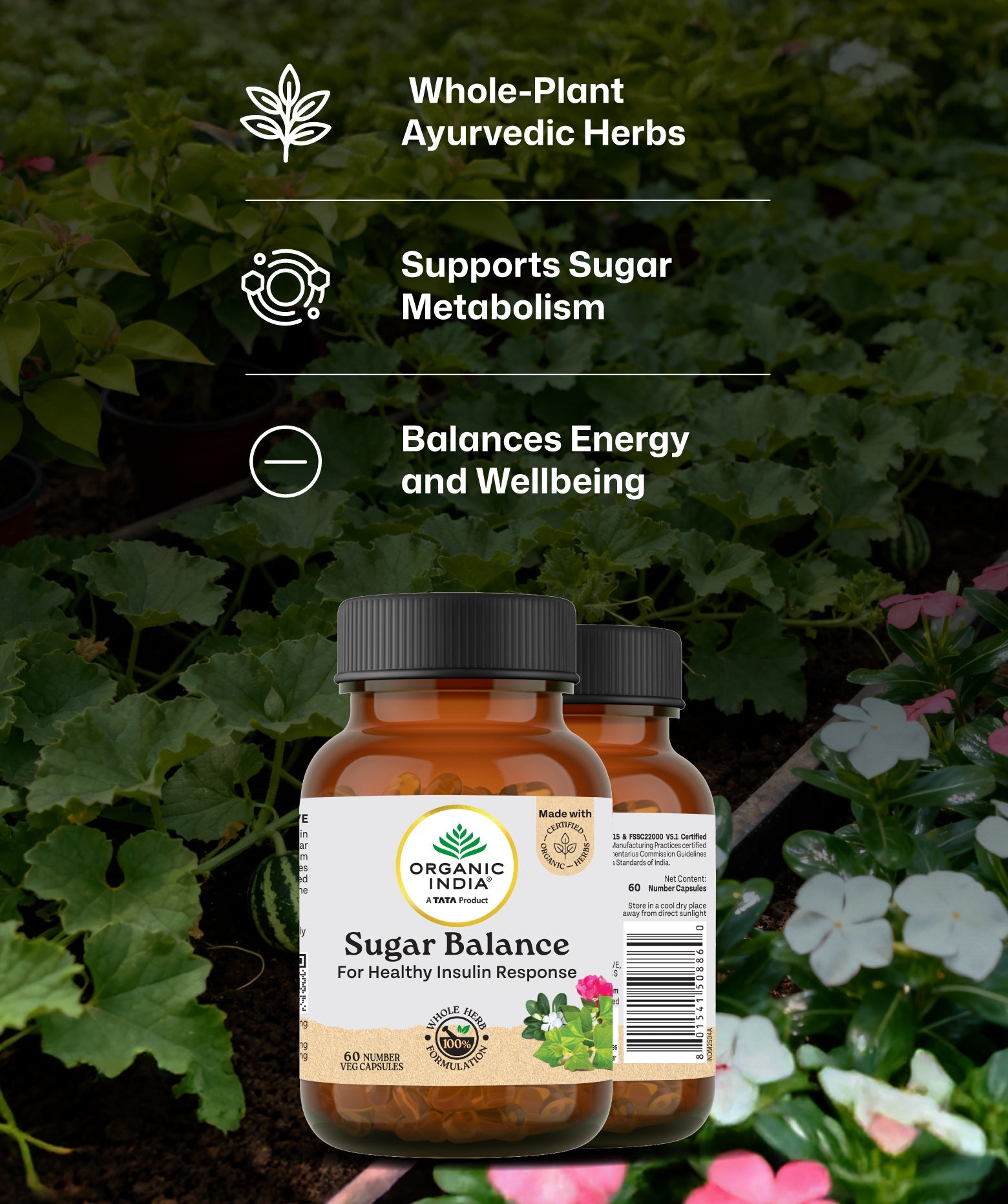 Ingredients Banner Mobile