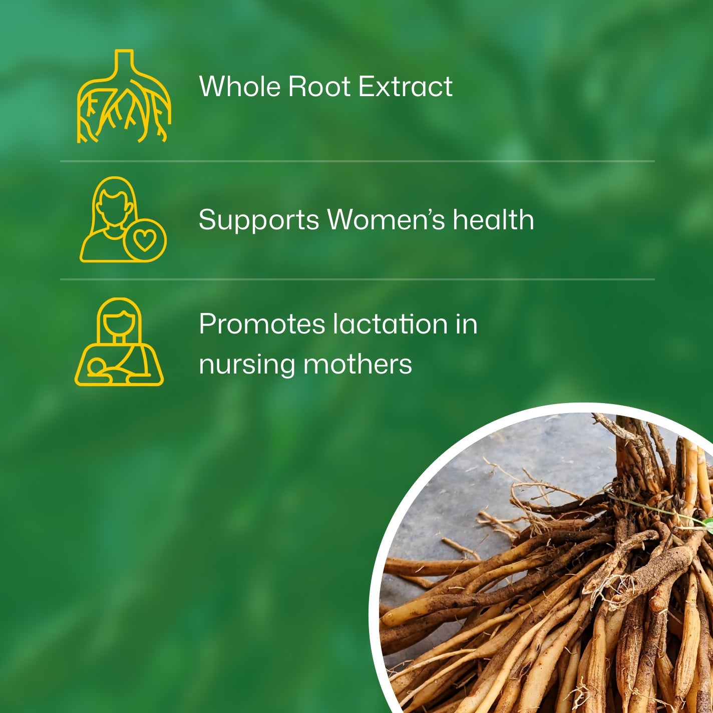 Ingredients Banner Mobile