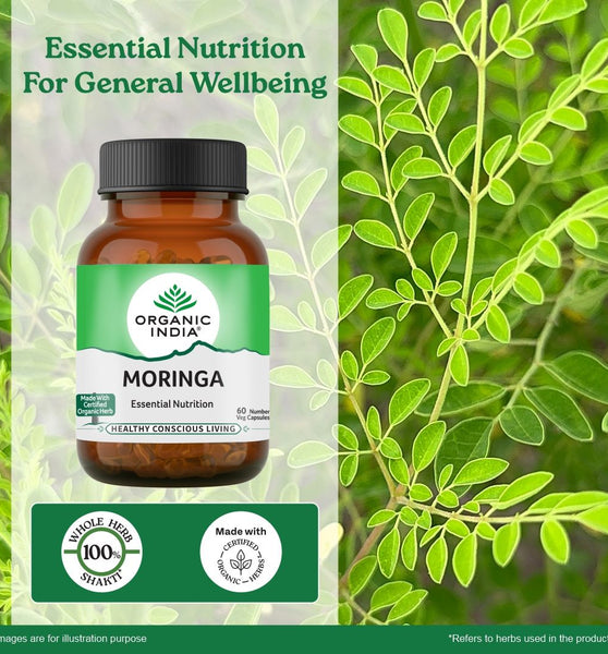 Organic Moringa Powder – Organic India
