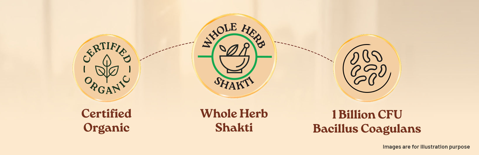 Ingredients Banner