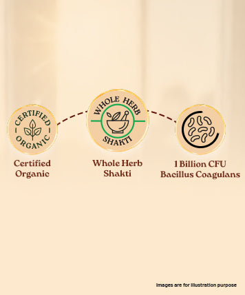 Ingredients Banner Mobile