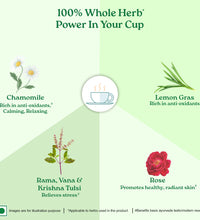 Tulsi Sweet Rose