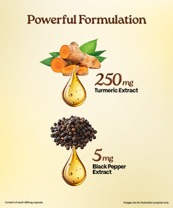 Ingredients Banner Mobile