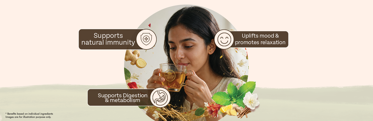 Ingredients Banner