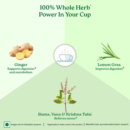 Combo Green Tea Lemon Ginger & Moringa Powder