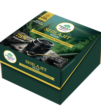 Shilajit Resin 20 gm